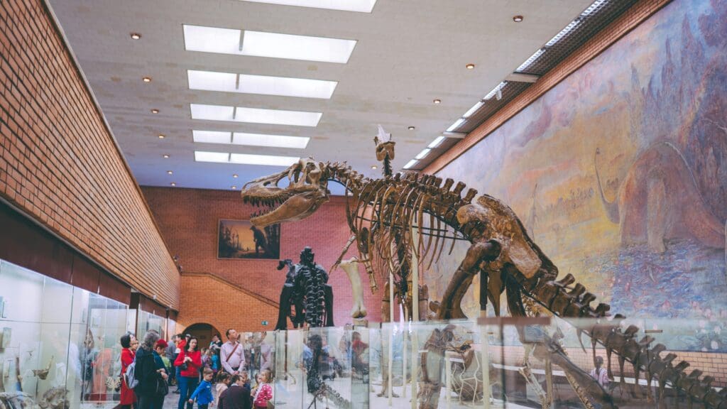 A T-Rex skeleton at a museum
